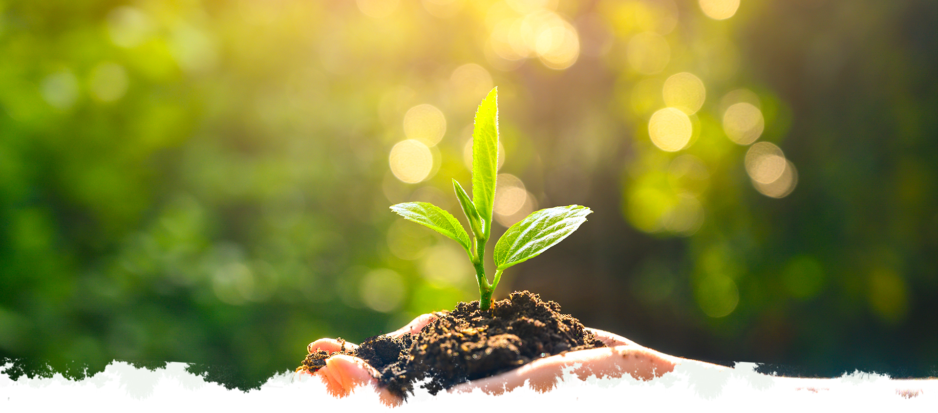 ͼǹ(H88)ͼƽ̨_ͼַ鲩