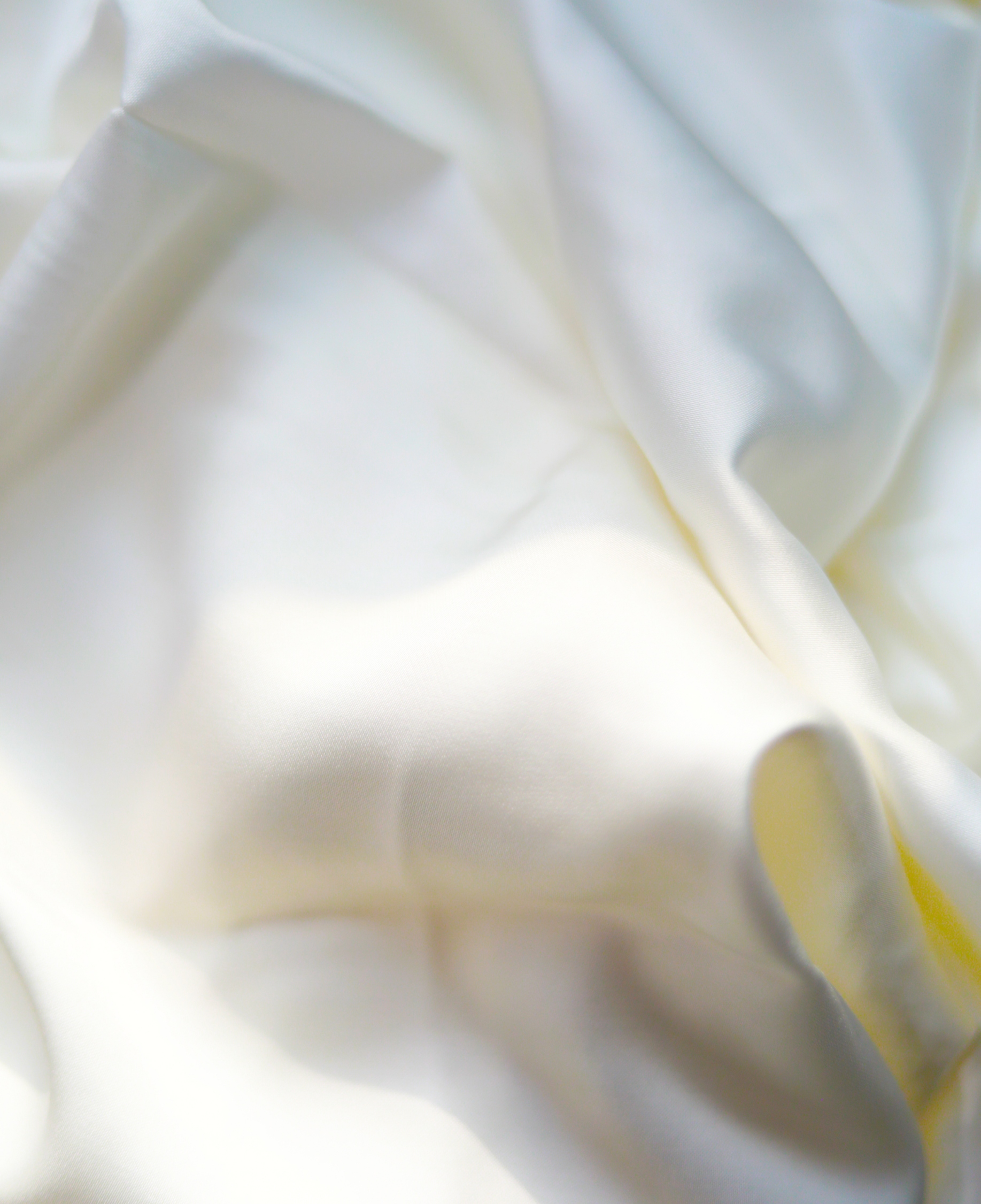 ͼǹ(H88)ͼƽ̨_ͼַ鲩