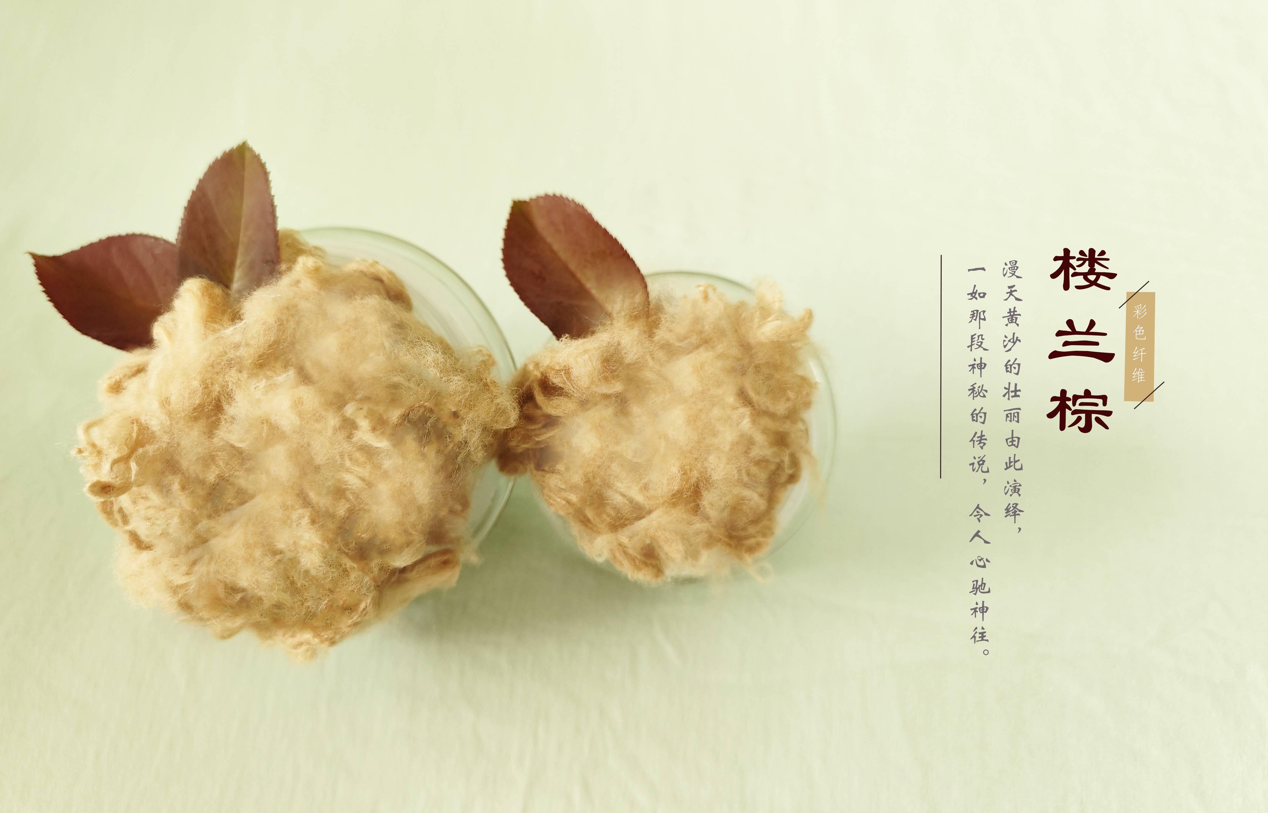 ͼǹ(H88)ͼƽ̨_ͼַ鲩