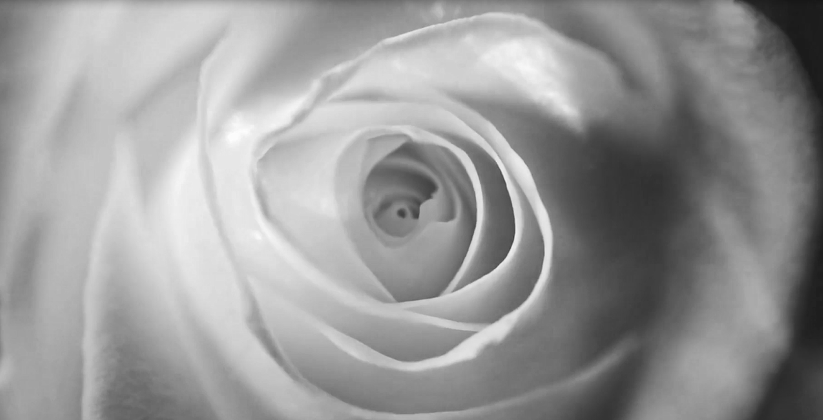 ͼǹ(H88)ͼƽ̨_ͼַ鲩