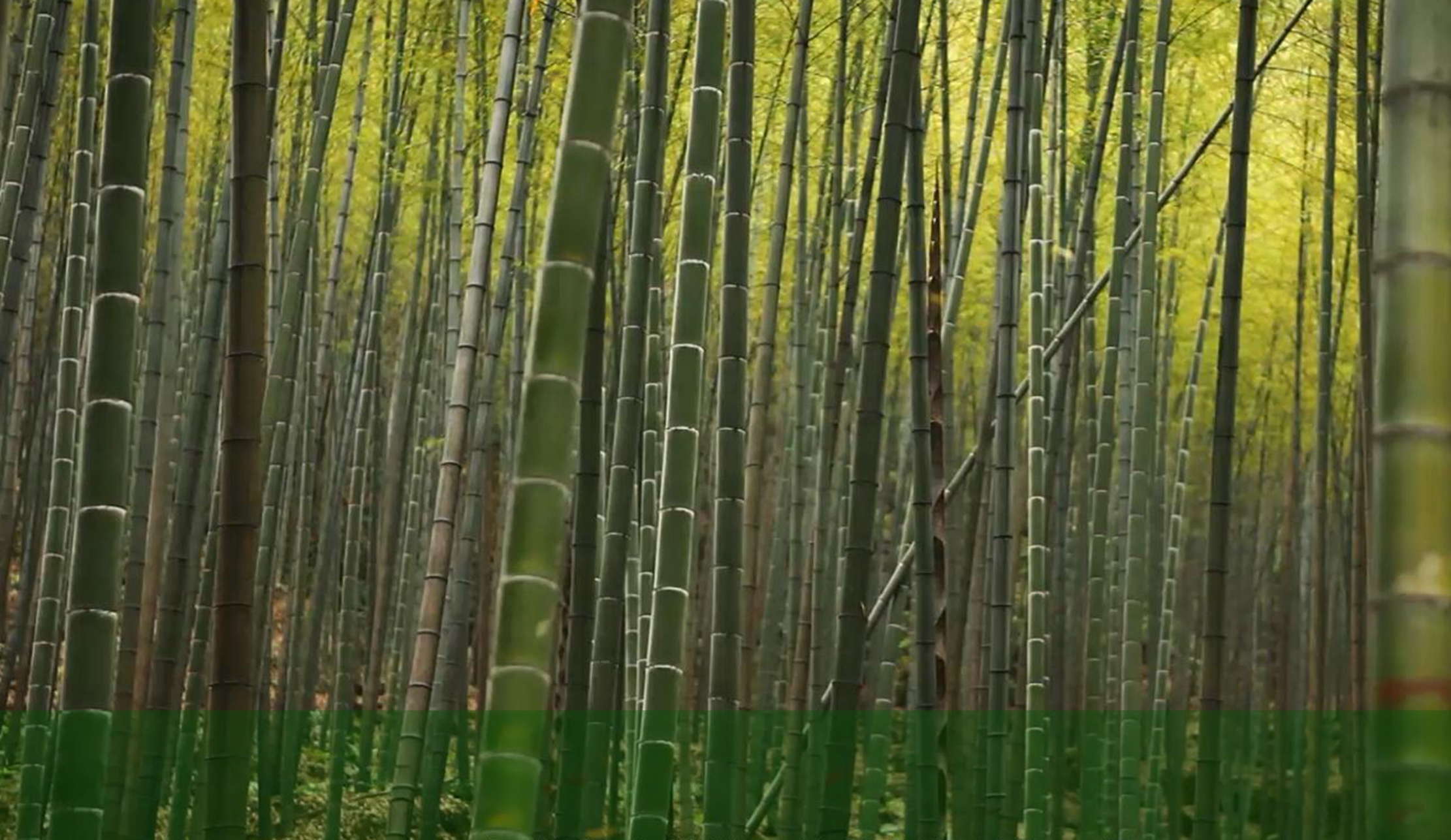 ͼǹ(H88)ͼƽ̨_ͼַ鲩