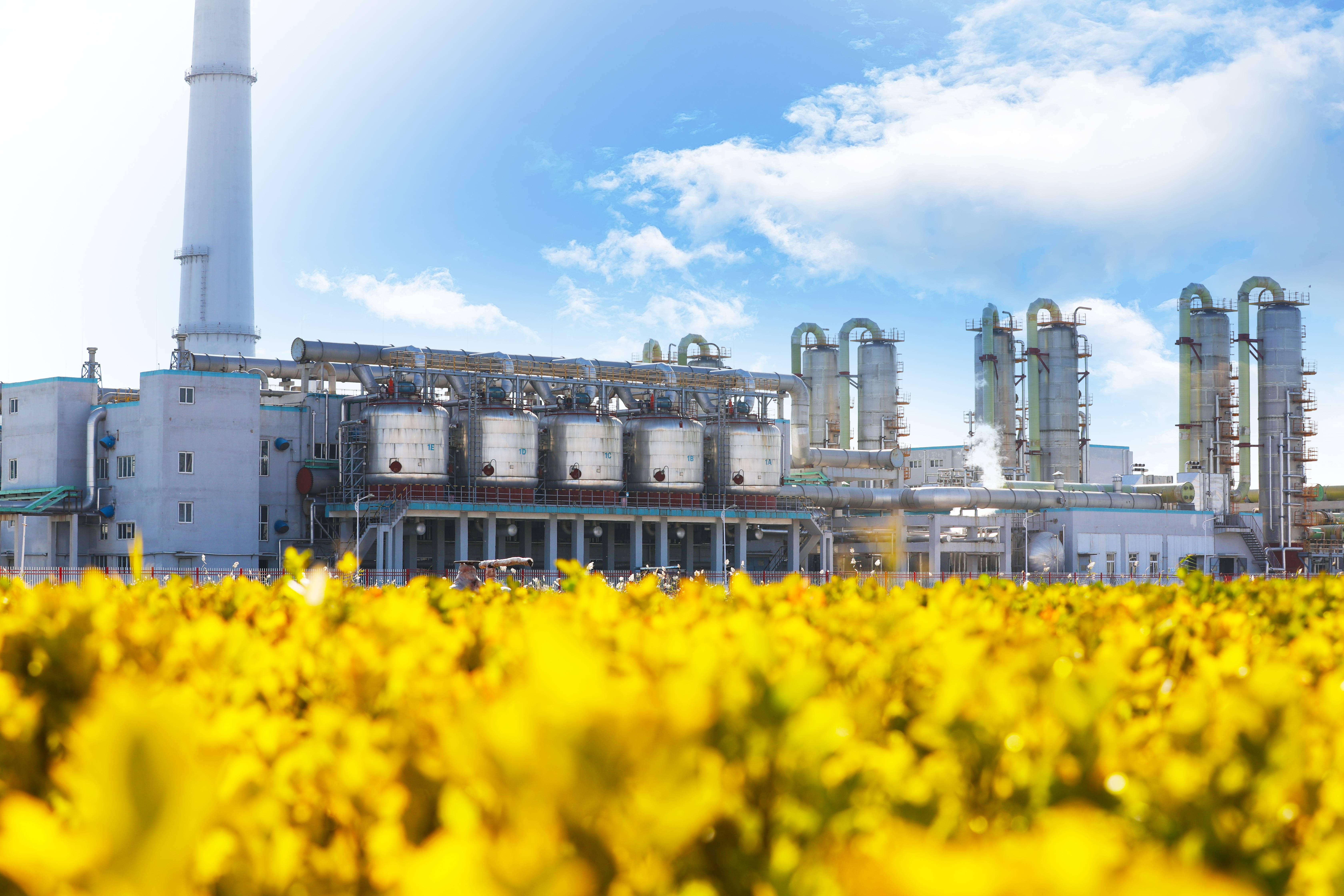 ͼǹ(H88)ͼƽ̨_ͼַ鲩