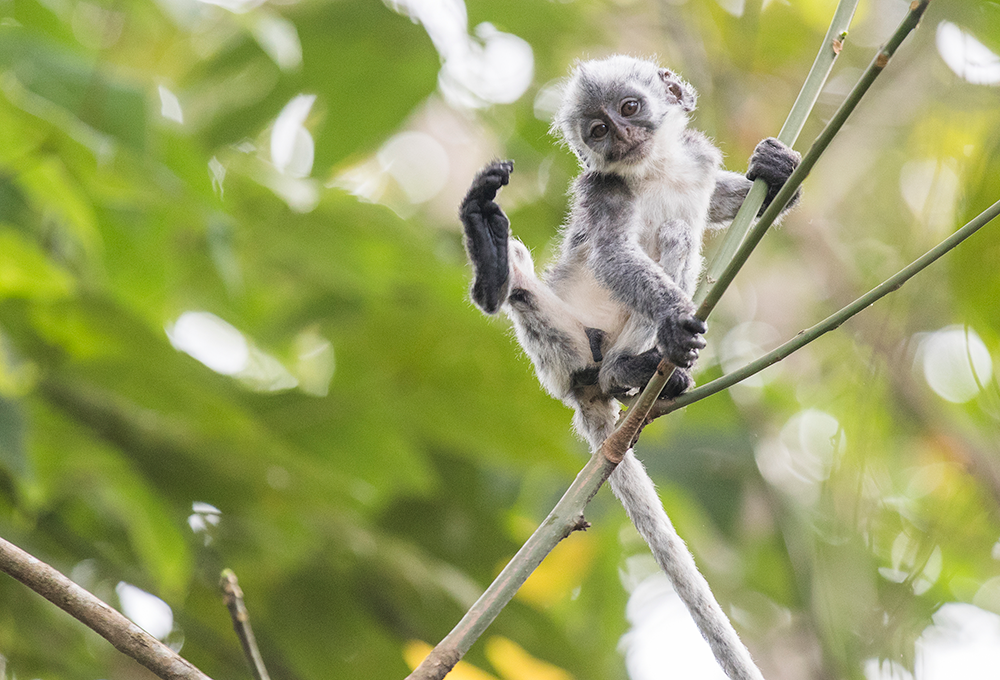 ͼǹ(H88)ͼƽ̨_ͼַ鲩